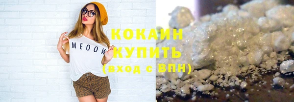дмт Инта