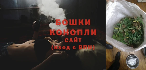 дмт Инта