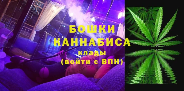 молекула духа Зеленокумск