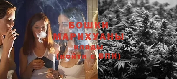 молекула духа Зеленокумск
