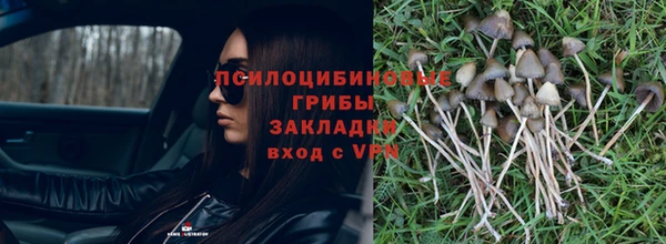 молекула духа Зеленокумск